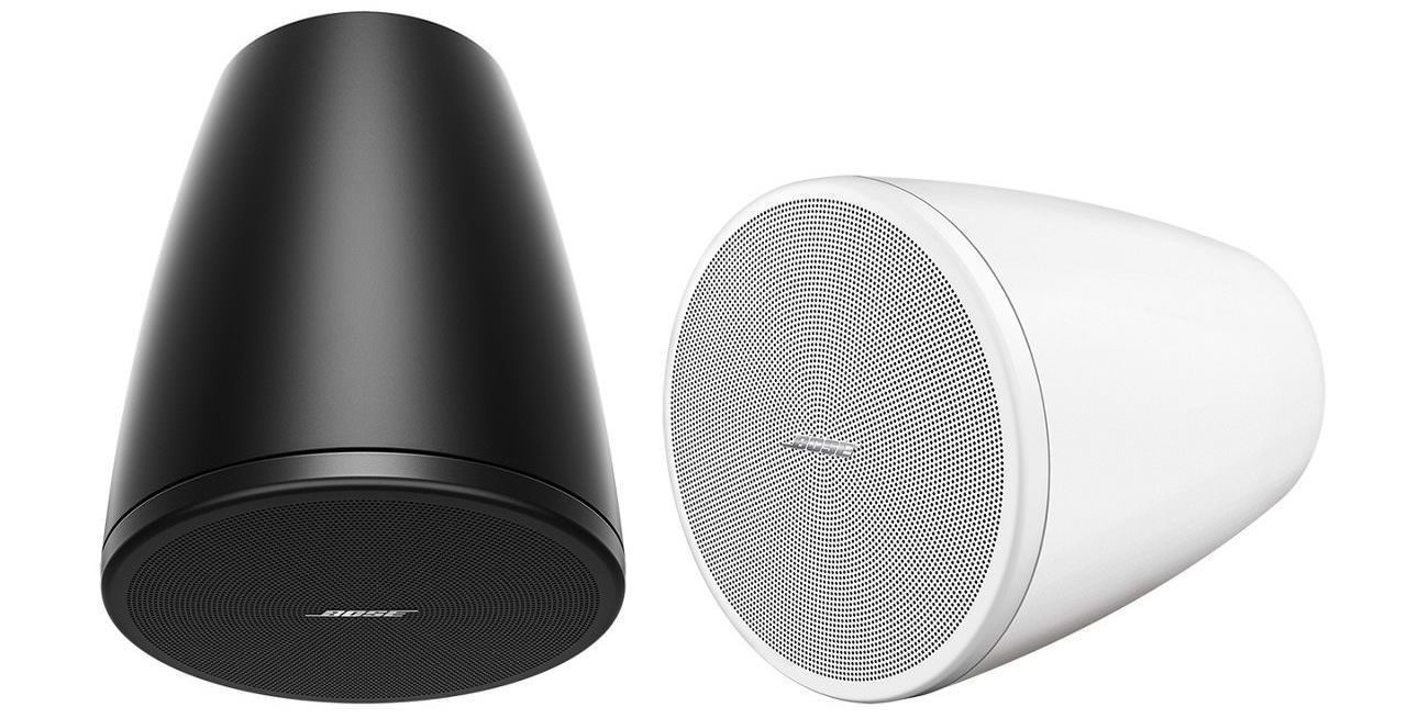 Bose DesignMax